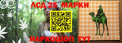 винт Кимры