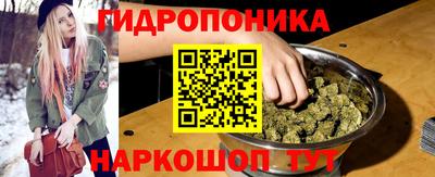 винт Кимры