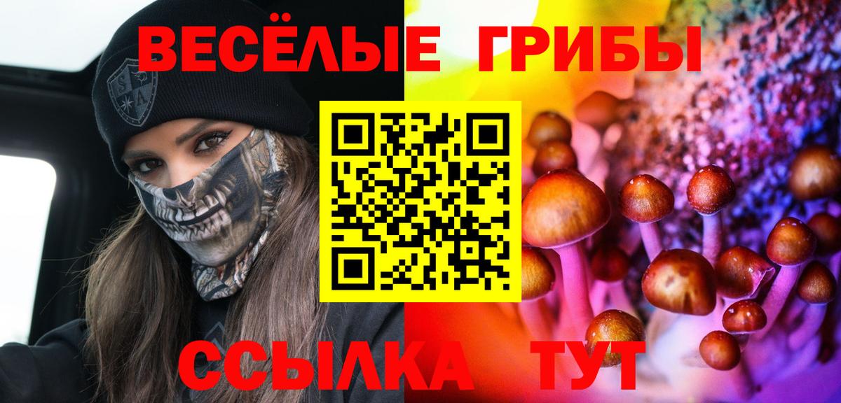 Галлюциногенные грибы Magic Shrooms Котлас