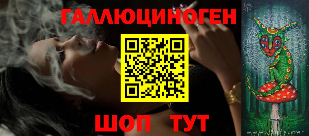 Котлас  хочу   Вход с VPN  Псилоцибиновые грибы MAGIC MUSHROOMS 