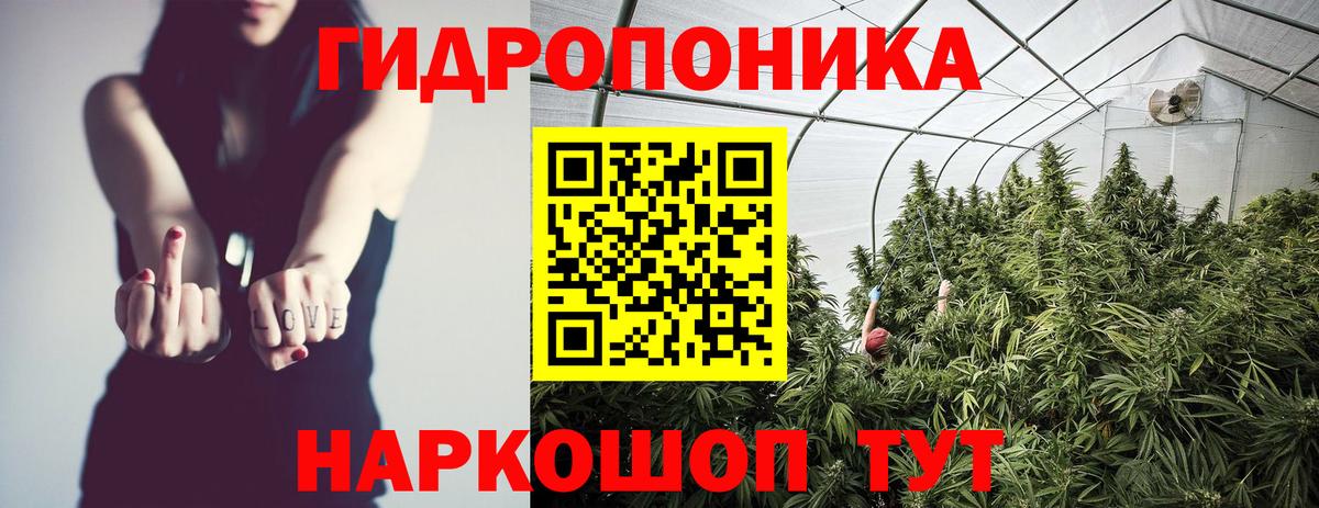 Марихуана сатива Котлас