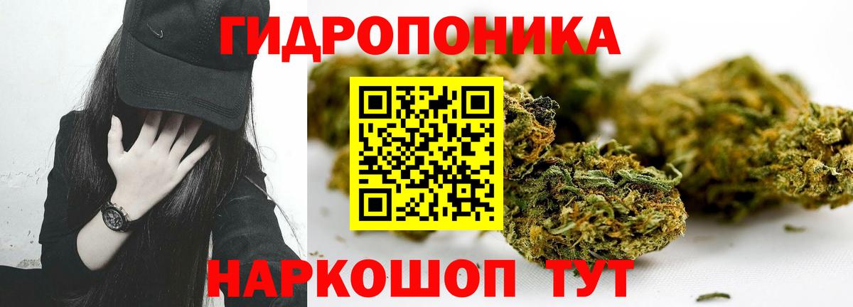 Конопля Amnesia  Канабис сатива  Конопля THC 21%  Вход с VPN  Котлас 